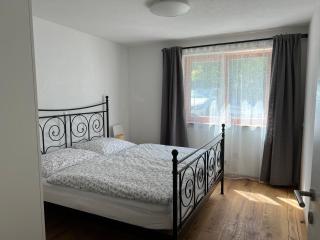Kreiers Alp - Hohenems - 6