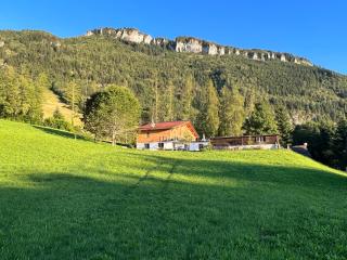 Kreiers Alp - Hohenems - 2