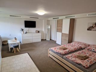 Apartmán U Peciho - Bělá pod Pradědem - 9