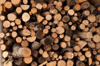 Appartement Graf - 8