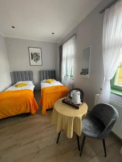 Pokoje Pod Mniszkiem - Boguszów-Gorce - 4