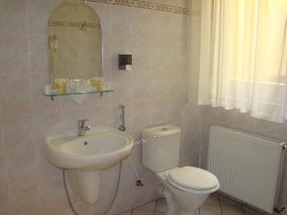 Hotel Saint Petersburg - Karlovy Vary - 5