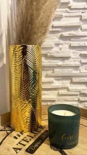 Le Cocon Doré, Hyper Centre de Toulouse - 5