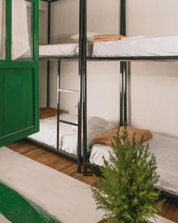 Wild Monkey Hostel - Cuenca - 4
