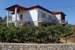 Apartments with a parking space Ugljan - 8404 - 8