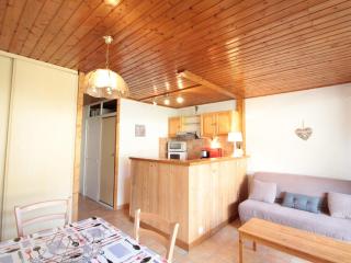 Studio 4 pers, centre village, 450m télécabine, balcon, casier à skis, animaux acceptés - FR-1-572-211 - Arâches-la-Frasse - 0