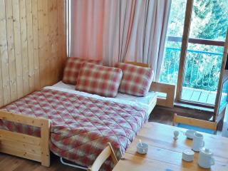 Studio Charvet 4 Pers, Balcon, Pied des Pistes, Parking, Ascenseur - FR-1-346-471 - 7