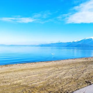 Marena B&B - Pogradec - 2