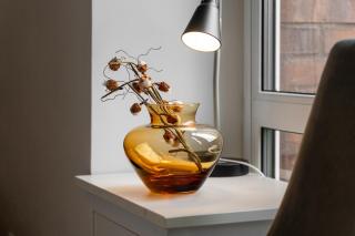 Apartament 900 ogród w Centrum Apartamenty No1 - 8