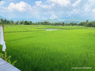 ลองนอนนา Long Non Na - Ban Lao - 4