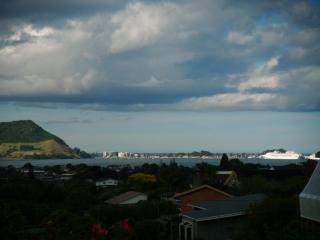 Grange Harbour View B&B - Tauranga - 5