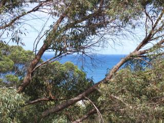 Polwarth - Lorne - 1