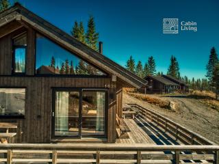 New large cabin Ski in out Sjusjøen & sauna - 5