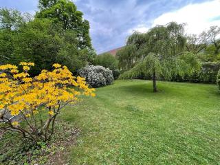 A l'Ombre des tilleuls - Husseren-Wesserling - 2