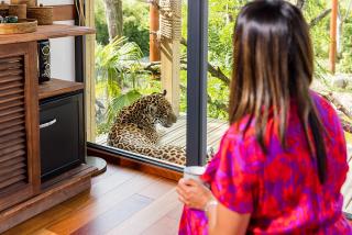 Parrot World - Les Lodges - 0