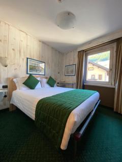 Hotel Alpina - 4