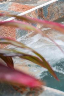 Bel'oasis - Le Lamentin - 5