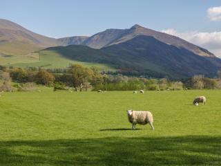 Scale Force - Keswick - 8