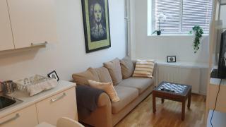 Cozy 1 bedroom apartment in Oslo centrum - Oslo - 0