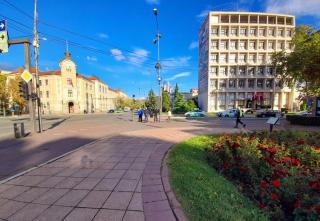 Limone apartmani Niš - Niš - 5