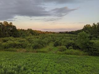 3778 East Lake Road - Dunkirk - 2