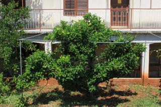 Apartments by the sea Zaglav, Dugi otok - 8146 - Zaglav - 5