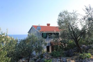 Apartments by the sea Molunat, Dubrovnik - 8550 - Molunat - 9