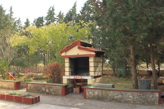 Apartments with parking space Ugljan - 8479 - 4