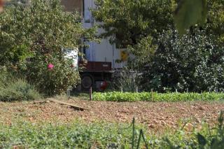 Apartments and rooms with parking space Komiza, Vis - 8844 - Komiža - 3