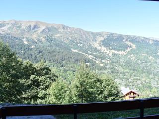 Studio à Méribel avec balcon et casier à ski, proche télésiège - FR-1-180-576 - Les Allues - 5