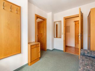 Chalet in Mittersill near Ski Slopes - 1