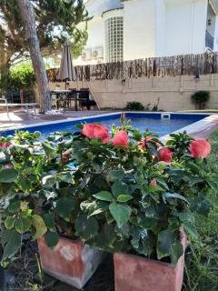 VILLA BELLA ESTANÇA - 6