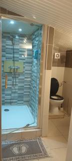Location RDC logement T2 meublé - Saint-Avit-Saint-Nazaire - 6