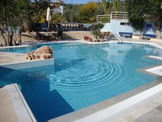 Meraki Apartments and Studios - 5