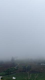 ATTUVAM VISTA - 2