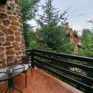 Aurora Resort & Spa - Berovo - 4