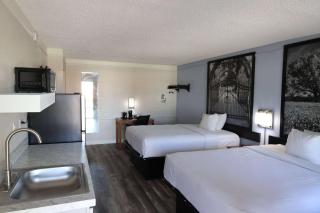 Super 8 by Wyndham Austin South I-35 - Austin - 6
