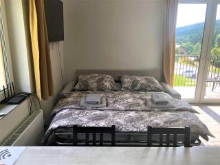 Apartmán U lomu Dolní Morava - Dolní Morava - 3