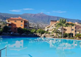 Retama del Teide, Puerto de la Cruz - Puerto de la Cruz - 0