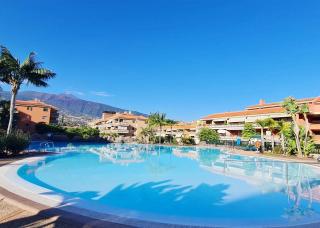 Retama del Teide, Puerto de la Cruz - Puerto de la Cruz - 9
