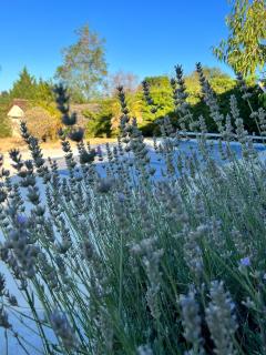 Le Bourg - Concots - 1