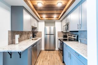 Modern, Rustic 2 Bed 1 bath 6 blocks from Mayo - Rochester - 0