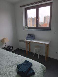 Roubaix près Lille, un cocon en plein centre - Roubaix - 2