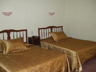 Hôtel Le Sauvage - Tournus - 5