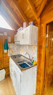 Villa Angela Glamping & Tiny Houses - Paipa - 2