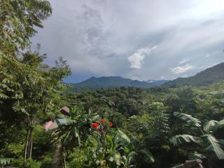 HOSTAL MIRADOR dentro del parque tayrona - 8