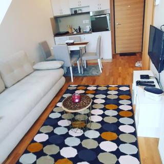 Apartment Sky 7 - Zlatibor - 7