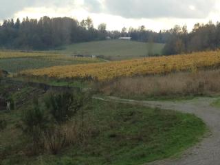 Brookside Inn Boutique Hotel - Abbotsford - 7