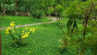 Yen Binh Homestay - Ninh Binh - 7