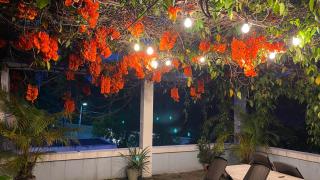 Hostal Cumbres del Volcan Flor Blanca - San Salvador - 6